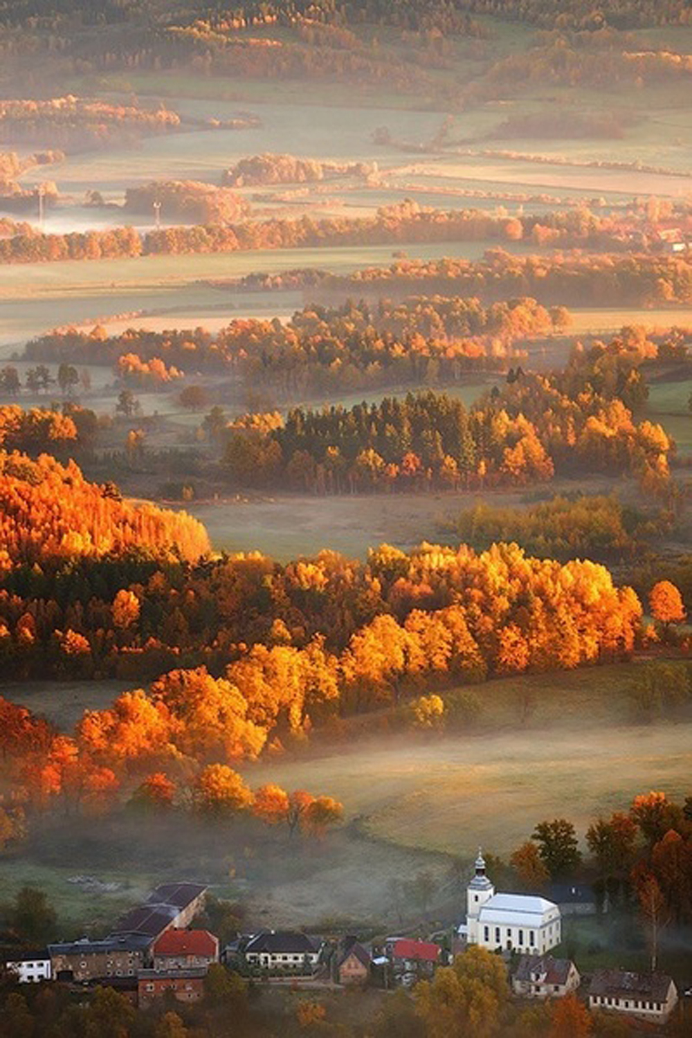 colori degli alberi che cambiano | paesaggio autunnale new england