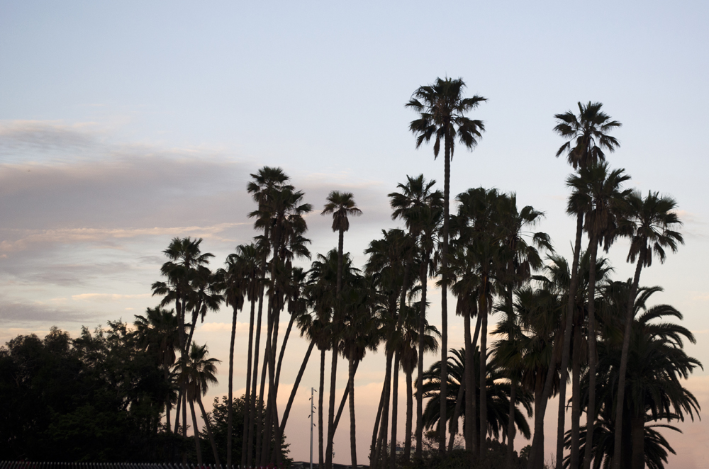diario di viaggio in california tra palme e tramonti a Santa Monica